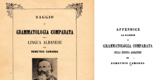 Veprimtaria atdhetare dhe gjuhësore e arbëreshit Dhimitër Kamarda