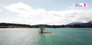 ‘Rrënjët’, Olta Xhaçka publikon videon e veçantë