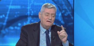 Dash Shehi: Demokratët janë dëshpëruar jo se humbën, por se s’do bëhen dot drejtora