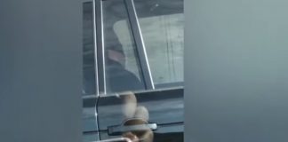 Video / Gafa e Bashës te Bashkim Hoxha, Gazetari: E prishët gjumin e këtij mëngjesi? Luli: Aspak