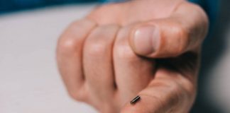 Zbulohet mikroçipi i cili tregon nëse jeni prekur me COVID-19