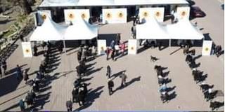 Mitingu i Bashës në Kukës, Rama: Një turmë që tërhiqet në rrugën e infektimit e të rrezikut për jetën, nga një drejtues pa karakter