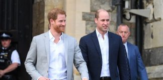Arsyeja e veçantë bën sërish bashkë princat William dhe Harry