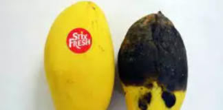 Pulla që shmang kalbjen e frutave dhe perimeve