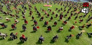 Akademia e re e Lidershipit/ Aplikimet mbyllen në 30 qershor