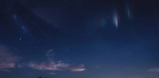 Këto shenja e kanë shumë të vështirë të bien në dashuri