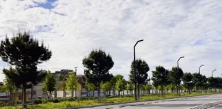 Rama uron javë të mbarë me videon nga ‘Bulevardi i Ri’