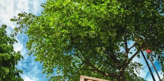 Me pamjet nga Tamara magjepsëse, Rama uron një javë të mbarë