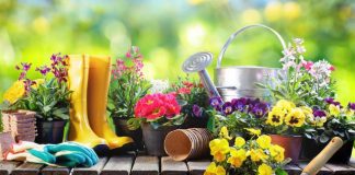 Kur dhe çfarë duhet të bëni çdo ditë të muajit, ja ditët më të mira të majit