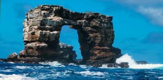 Shembet shkëmbi historik “Harku i Darvinit”