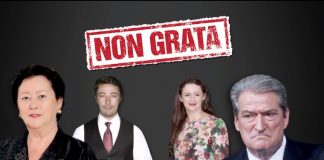 Dokumentet “Top Secret”, si i lejoi Sali Berisha firmat piramidale