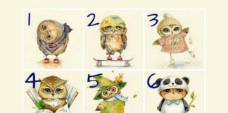 Test psikologjik: Zgjidhni njërën nga figurat dhe zbuloni pikat tuaja të forta dhe të dobëta