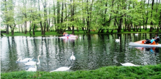 Video/ Pogradec, fluks vizitorësh në Drilon