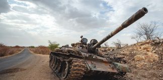 Opinion/ Eritrea, shteti gulag i Afrikës, është në marshim drejt luftës