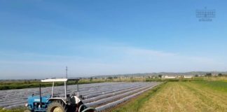 Historia e Xhulianos/ Së bashku me 15 punëtorë eksporton prodhimet e veta në Itali