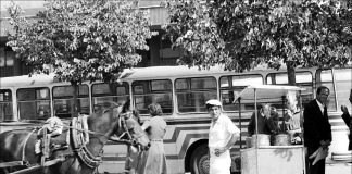 Pamje të rralla të Shqipërisë në vitin 1982