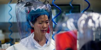 Opinion/ Dy teoritë e forta për origjinën e pandemisë nga të cilat bota duhet të mësojë të vërtetën