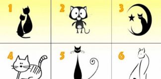 Macja që ju zgjidhni zbulon tiparet dominuese të karakterit tuaj