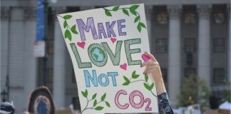 Opinion/ Të gjithë i duan të Gjelbrit e Gjermanisë (tani për tani)