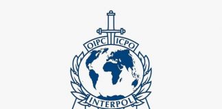 “Pandora V”/ Policia e Shtetit pjesë në operacionin ndërkombëtar të koordinuar nga EUROPOL dhe INTERPOL