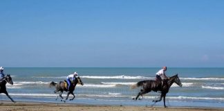 Bregdeti kthehet në pistë, zhvillohet për herë të dytë gara me kuaj në Darzezë