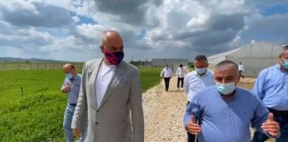 Prodhohet plehu i parë kristalin “Made in Albania”/ Rama: Zgjerimi i modeleve të tilla të suksesit rrit eksportet bujqësore