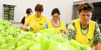 Tregtimi i prodhimeve bujqësore të Lushnjës/ Rama premton mbështetje për pikat e grumbullimit: Do të bëhen më të mëdhatë në rajon