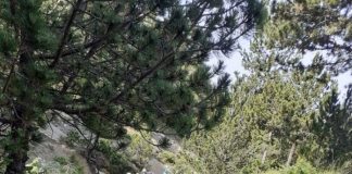 Destinacion i turizmit malor/ Turistët polakë ‘pushtojnë’ Malin e Tomorit