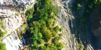 “Mes pyjeve dhe pemëve të lisit”, Rama poston videon: Pasdite të këndshme!