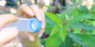 Rama: Metoda të çertifikuara nga BE, për një prodhim cilësor vendas!