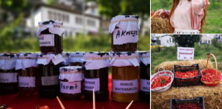 Braçe: Fundjava, nga Berati në Myzeqe ku shalqini ynë mund çdo ‘kokëkungull’