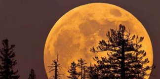 “Hëna luleshtrydhe” dhuron sonte spektakël, çfarë do të ndodhë në qiell