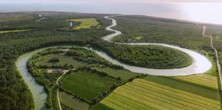 Fotolajm/ Rama thotë mirëmëngjes me pamjet nga grykëderdhja e lumit Shkumbin