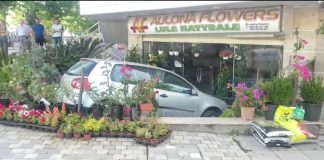 Aksident në Vlorë, makina futet brenda dyqanit të luleve, largohet me vrap shoferi
