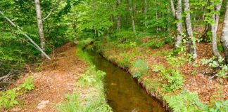 Rehabilitohet kanali vaditës i Rrinës në Librazhd, Balla: Mbulon me vaditje 1400 ha tokë bujqësore në disa fshatra