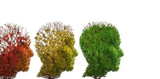 Studimi: Plakja e trurit jo vetëm çështje e neuroneve