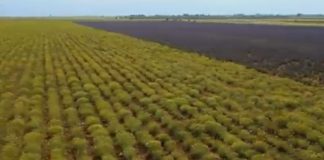 Kryeministri Rama poston pamjet nga fushat piktoreske në Malësinë e Madhe: Shembëlltyrë frymëzuese