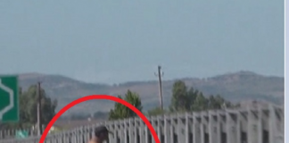 Qytetari merr rreze në autostradën e Vlorës, çuditet eksperti: Nuk e kam idenë çfarë bën ai aty