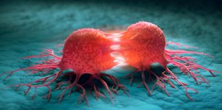 Identfikohet gjeni shkaktar të një sërë sëmundjesh kancerogjene