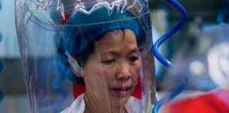 Wuhan, flet për herë të parë shkencëtarja e lakuriqëve të natës, ja çfarë deklaron