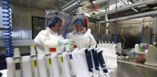 Origjina e COVID-19/ Mediat ndërkombëtare sigurojnë pamje të lakuriqëve të natës në laboratorin e Wuhan