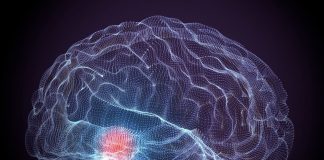 Zbulohet molekula që eliminon simptomat e Parkinsonit