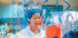 Si “rrodhi” Covid-19 nga laboratori dhe çfarë po fsheh ekspertja kineze e lakuriqëve të natës