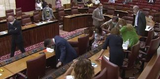 Video/ Miu ndërpret seancën parlamentare në Andaluzi, ligjvënësit ngrihen të tmerruar nga karriget