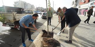 Rruga më e re “Tom Plezha” në Astir gjelbërohet me 251 pemë të reja, Veliaj: Falë punës është transformuar totalisht!