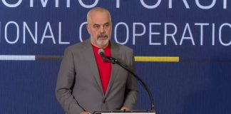 Forumi në Shkup, Rama e nis me batutë fjalën e tij: Do flas shqip, shpresoj që përkthyesi mos ma shkatërrojë mesazhin si herën tjetër