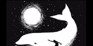 Test psikologjik: Më thuaj ç’sheh fillimisht, të të them çfarë objektivash të udhëheqin në jetë