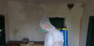 Gripi i shpendëve në Fier, nis dizinfektimi i ambientit dhe asgjësimi i shpendëve të ngordhur