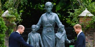 U duk se bënë paqe pas zbulimit të statujës së Princeshës Diana, por si janë në të vertetë raportet mes William-it dhe Harry-t?