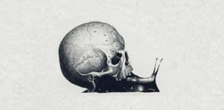 Gjëja e parë që shihni në këtë fotografi do t’ju tregojë se si e përgatisni veten për një sfidë